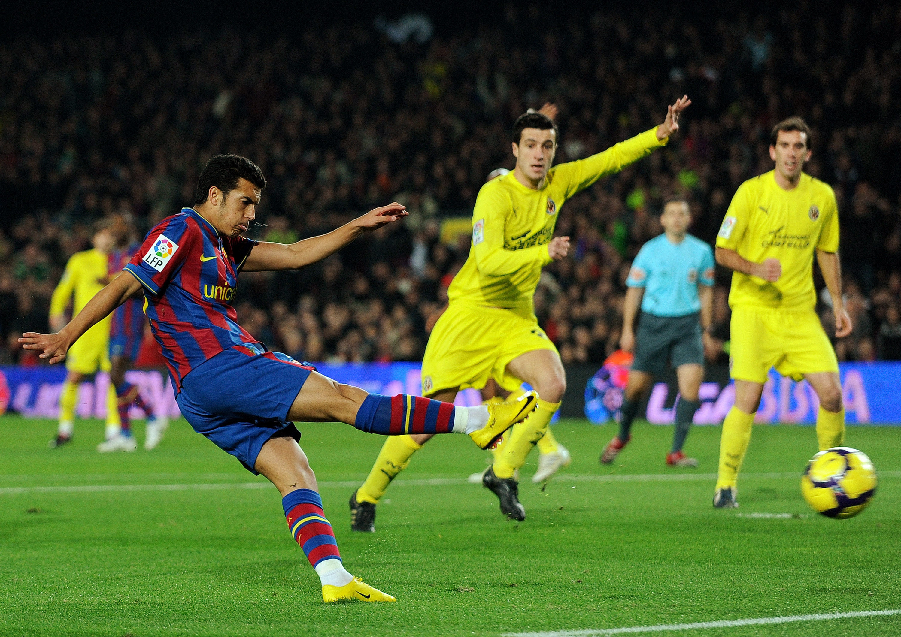 仅展示了个 仅展示了个