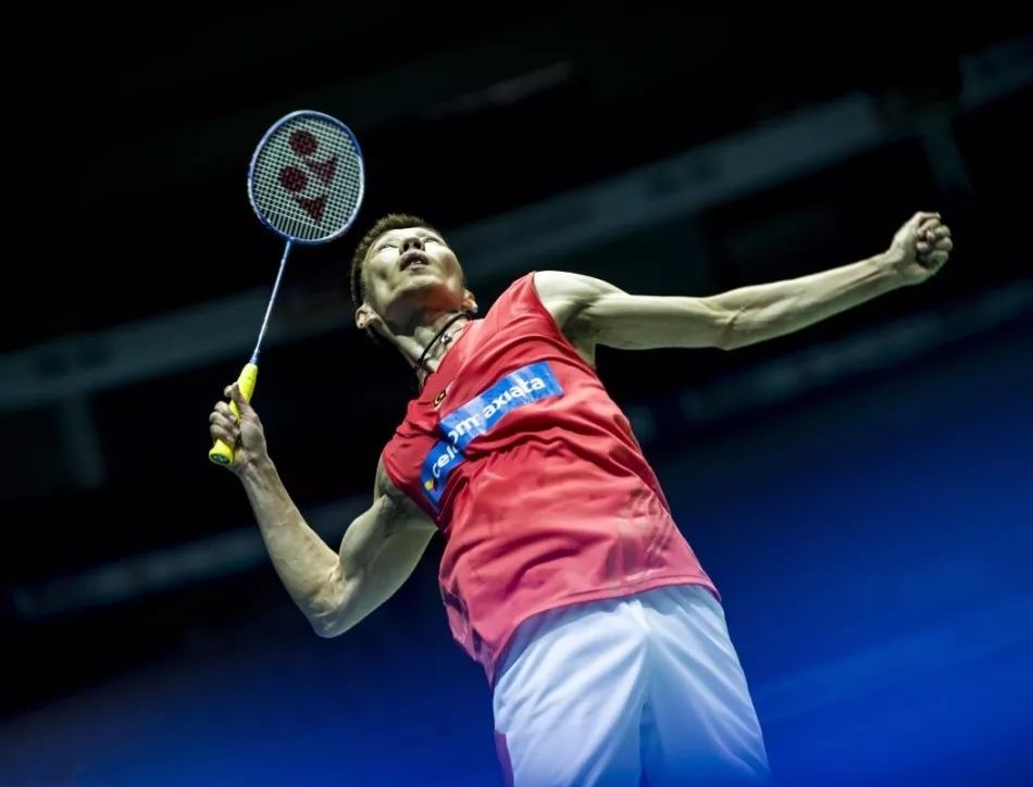 極提起上訴 極提起上訴