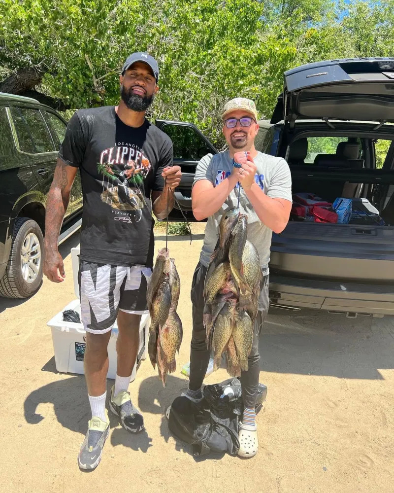 率均显著提 率均显著提