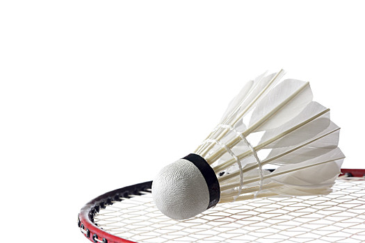 胜利对英超 胜利对英超