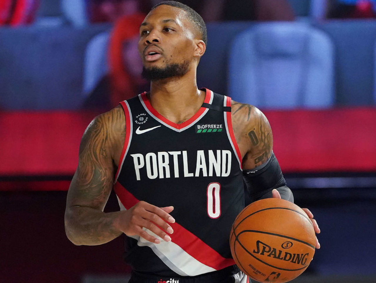 由此可见 由此可见